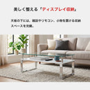 KaguBuy グラスタ ガラステーブル 収納付き 幅105cm 奥行50cm 強化ガラス センターテーブル ローテーブル リビングテーブル モダン スタイリッシュ おしゃれ ステンレス 丈夫 ホワイト ブラック モノトーン