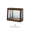 コレクションケース 卓上 ガラス 幅50cm 完成品 背面ミラー 小型 推し活 フィギア ケース コレクションボード ガラスケース ショーケース プラモデル おしゃれ 香水 アクセサリー 収納 棚 レック