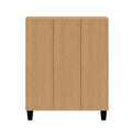 KaguBuy ティーダ 下駄箱 シューズボックス 完成品 日本製 大川家具 スリム 幅75cm 幅100cm ハイタイプ ロータイプ おしゃれ 靴箱 シューズラック 玄関収納 可動棚 収納 【大型商品】