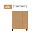 シューズボックス 75 100 ロータイプ 国産 大川家具 靴箱 下駄箱 下足箱 玄関収納 大容量 ハイタイプ 収納ケース シューズラック ティーダ