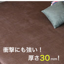 ラグ カーペット 130×190 190×190 190×240 厚み3cm マット ラグマット 長方形 正方形 四角 ダークブラウン グレー ベージュ TRY トライ