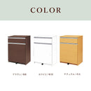 国産 ダストBOX 2分別 3色対応 45Lフタ付きペール2個付き ブラウン ホワイト ナチュラル カウンター ごみ箱 ダストボックス キッチン収納 キャスター付き ゴミ入れ 収納 完成品 Lvina ルビ